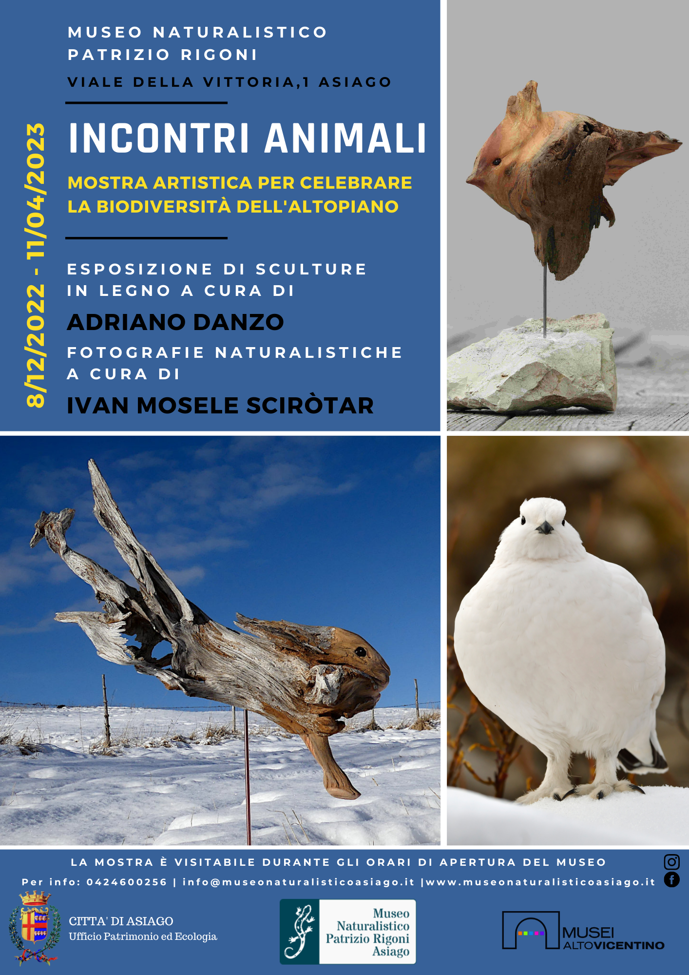 Incontri animali: la mostra