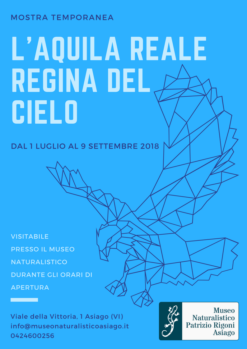 locandina mostra aquila