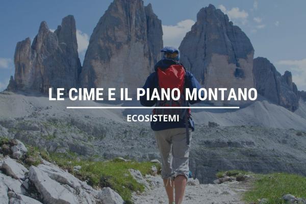LE CIME E IL PIANO ALPINO