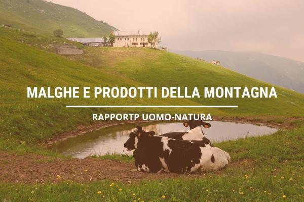 LE MALGHE E I PRODOTTI DELLA MONTAGNA 